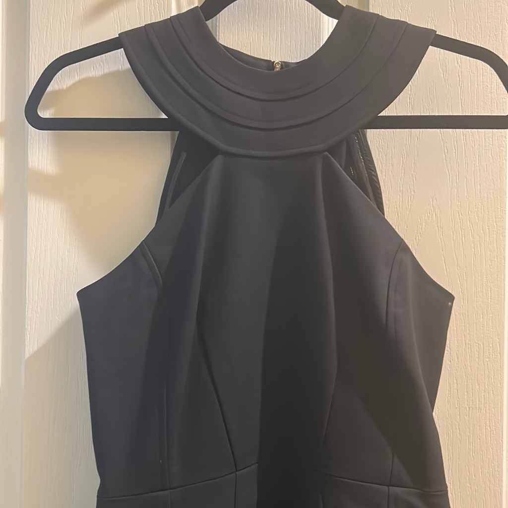 Cynthia Steffe Dress 423